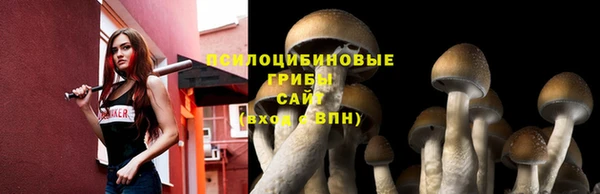 мяу мяу мука Верея