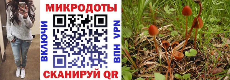Галлюциногенные грибы Psilocybine cubensis  Купить где  Володарск 